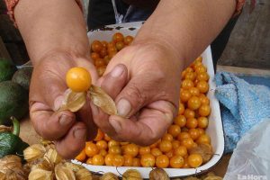 Frutas una iniciativa en marcha
