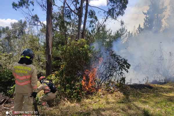 Conatos de incendio se reportaron en cinco sectores de Ibarra 1 conatos