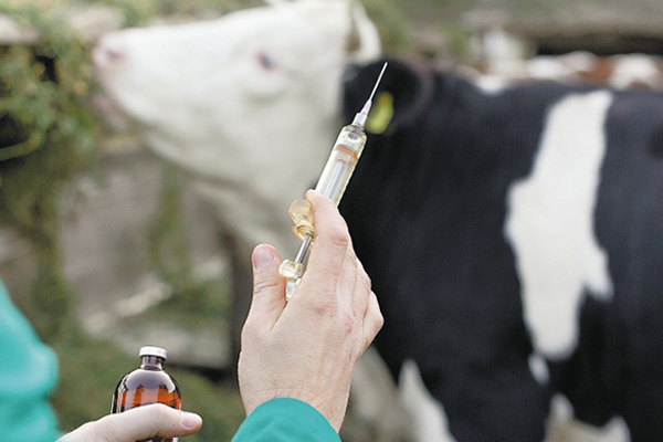 upec veterinaria