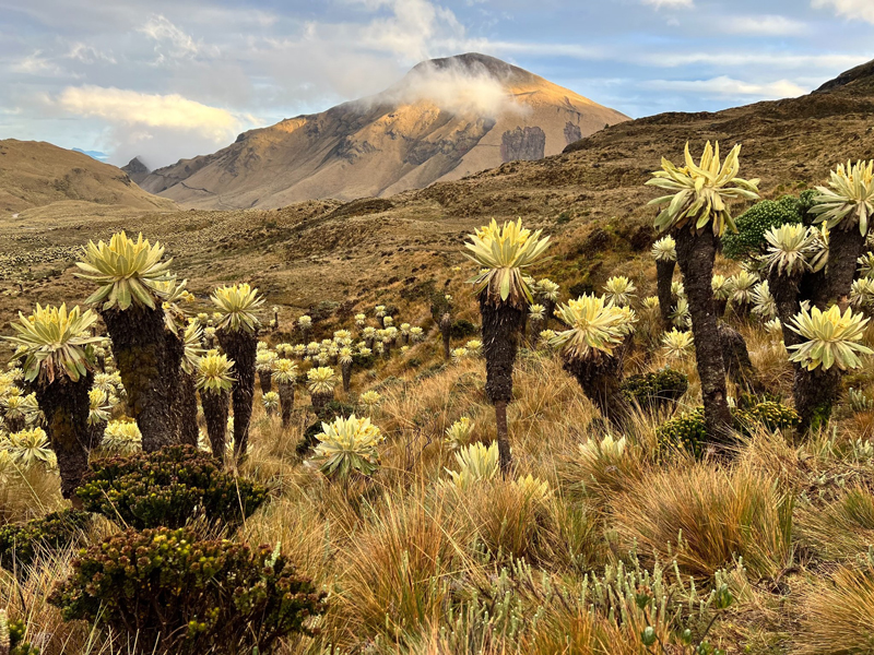 Mediciones gravimétricas fortalecen monitoreo en Chiles y Potrerillos, Carchi 5 chiles
