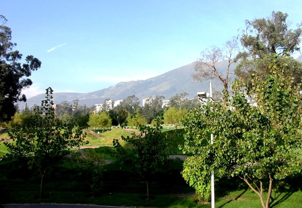 AHORCADO