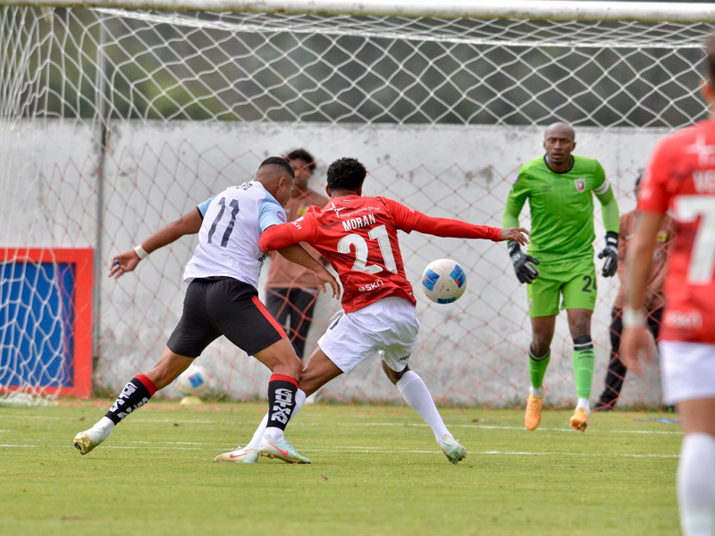 leones 1