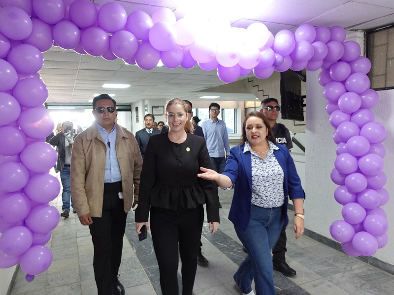 carchi centro violeta