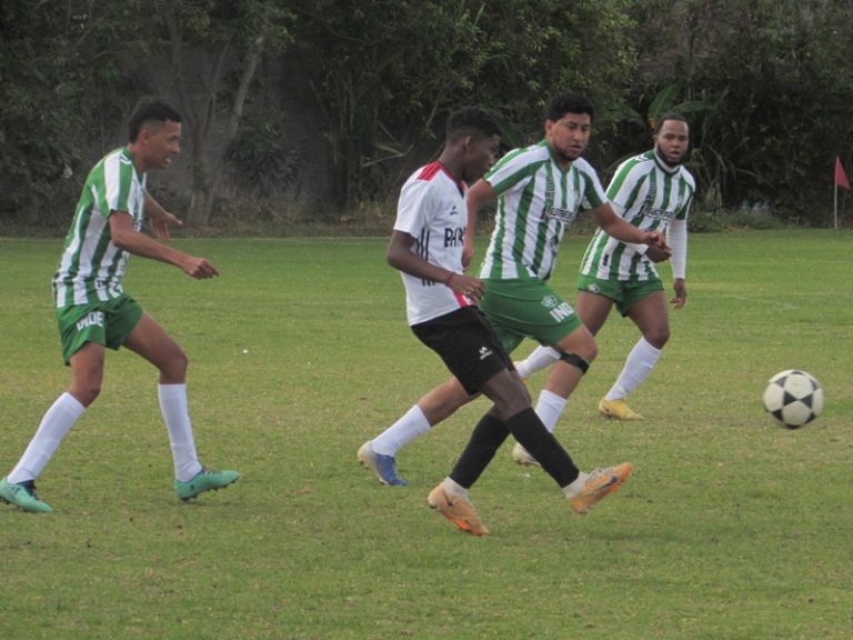 interligas