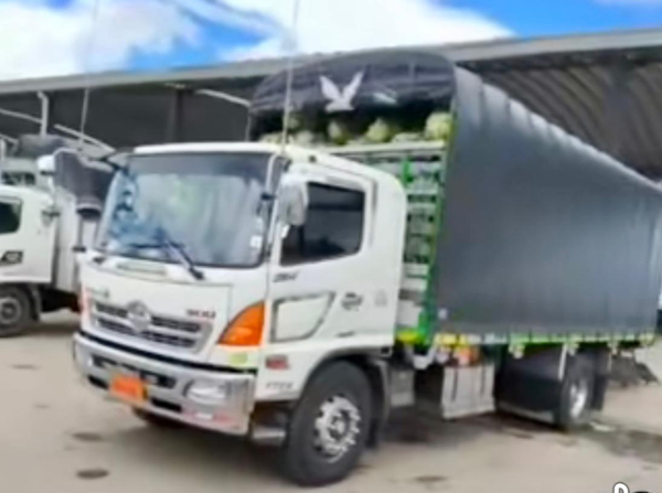 camionero