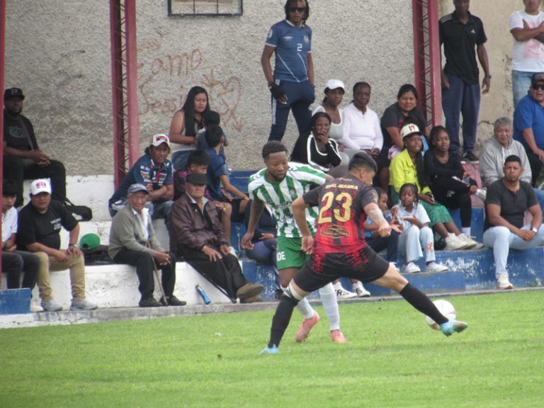 interligas--3