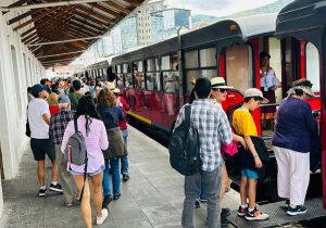 Ciudad 43 Ibarra-comercio