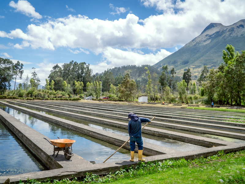 Más de USD 600 mil al Lago San Pablo 1 san-pablo-2