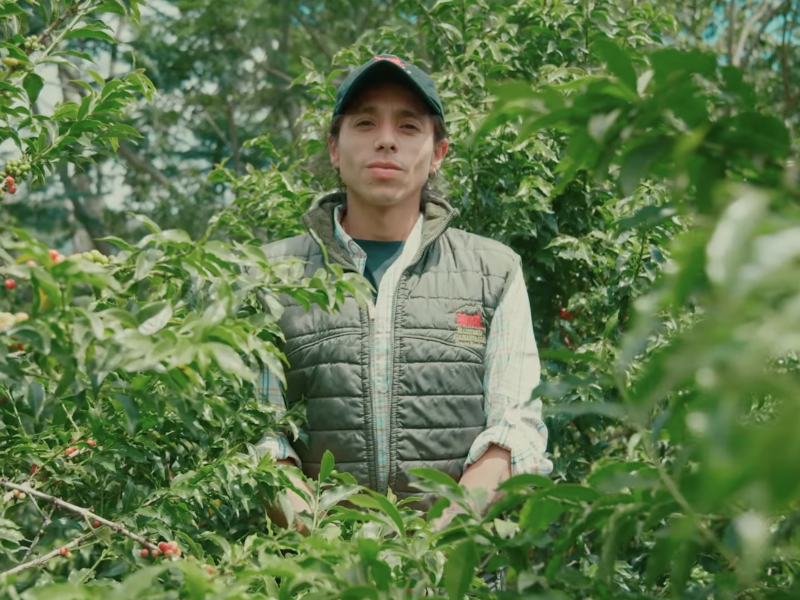 Café cultivado en Imbabura en la élite nacional 1 cafe 2
