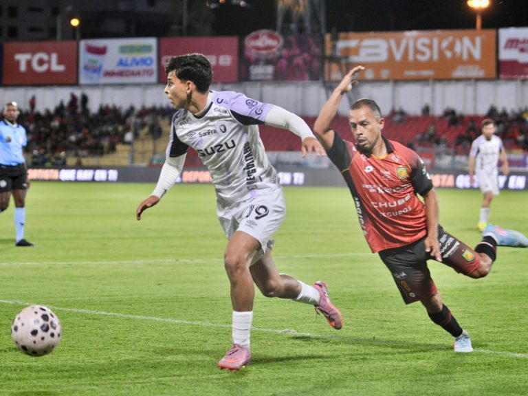 leones pepinos
