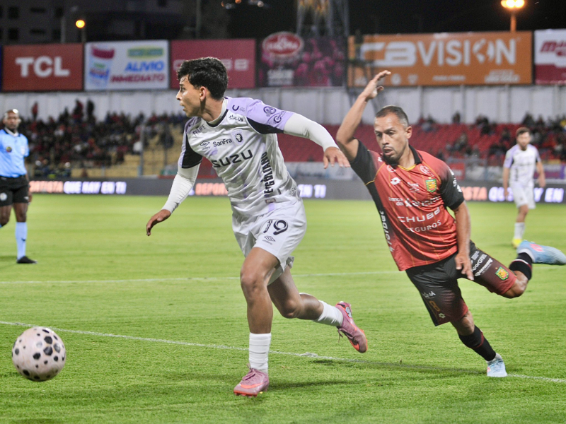 leones pepinos