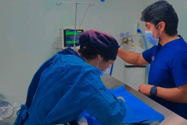 esterilizacion bai
