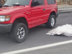 fallecido enfrentamiento