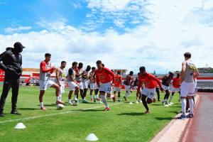 Leones