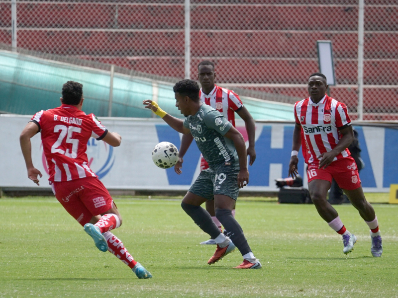 leones 1