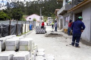 obras miguel egas