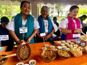otavalo fiesta