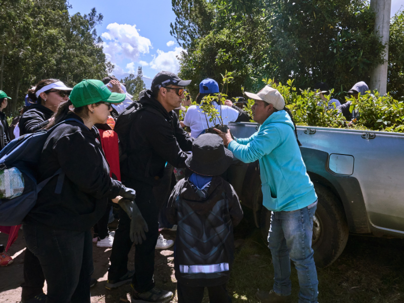 otavalo principal