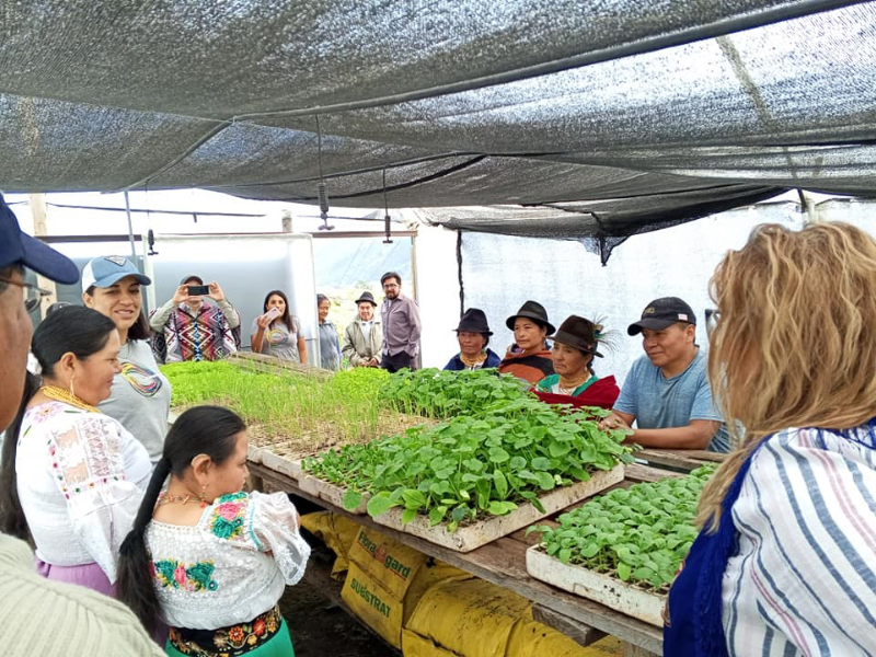otavalo proyecto