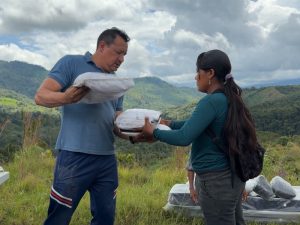 ayuda gualpi