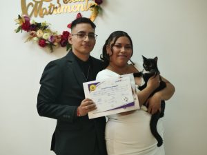 boda pet