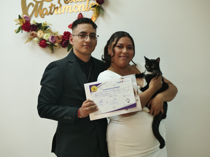 boda pet