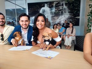 bodas 1