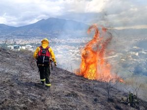 incendio 1