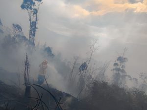 Ciudad 85 bomeros incendio ibarra