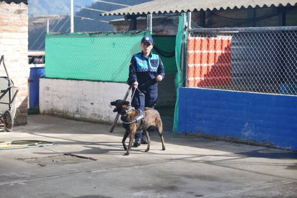 chica otavalo