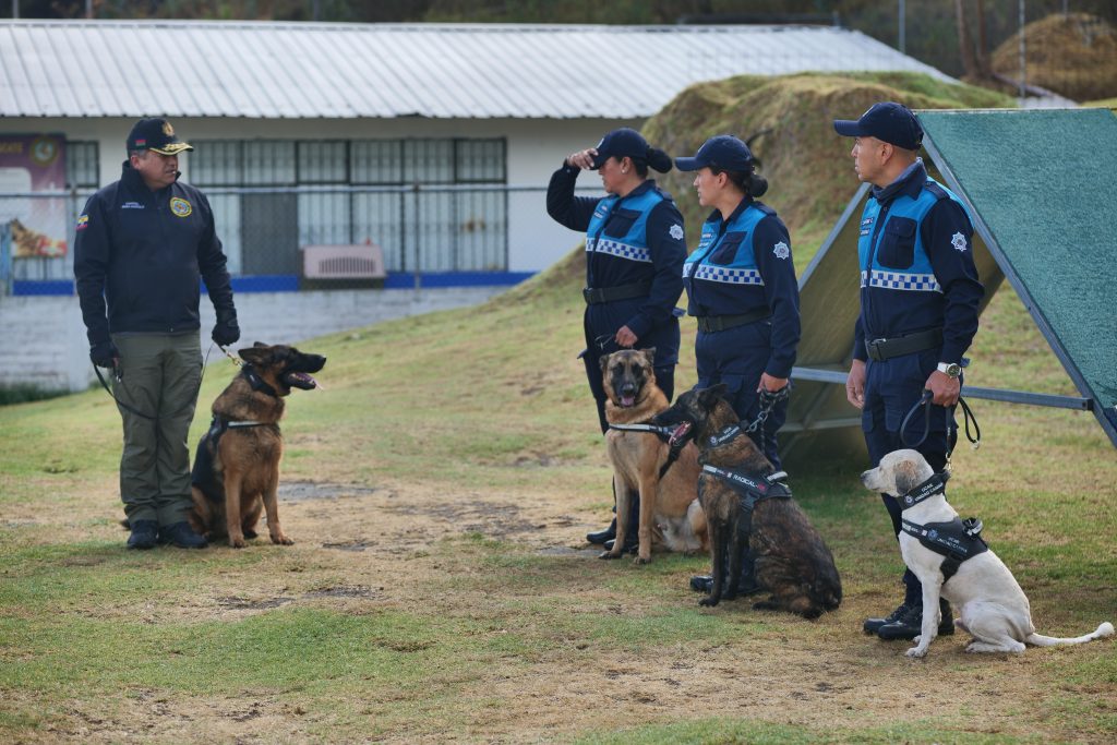 entrenamiento canino