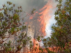 incendio otavalo