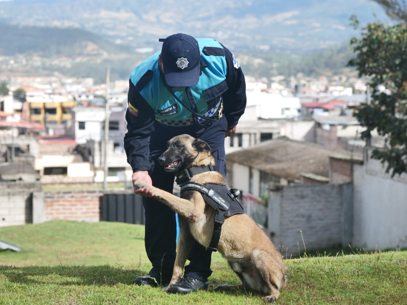 unidad canina