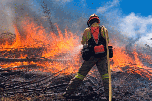 Incendios-forestales