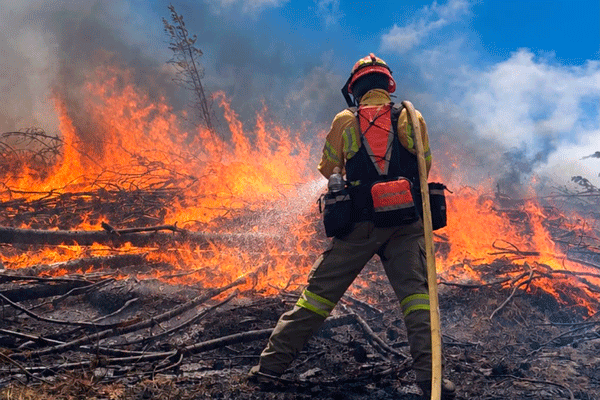 Incendios-forestales