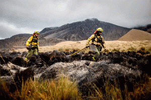 iNCENDIOS