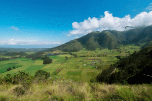 Angochagua