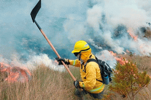 Diario El Norte 40 Incendios