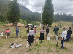 Ciudad 38 angochagua sembrar