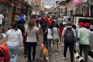 Tendencia 26 bendicion mascotas