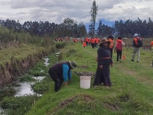 Diario El Norte 35 otavalo ambiente