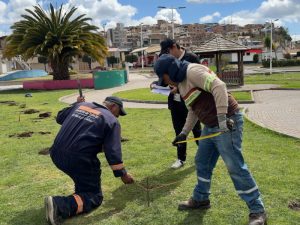 tulcan obras